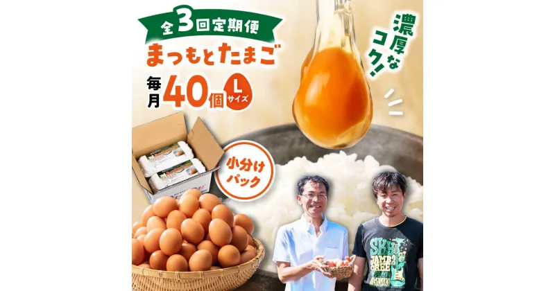 【ふるさと納税】【月1回 Lサイズ 40個 ×3回 定期便 】家族のために選びたい「 まつもとたまご 」計120個＜松本養鶏場＞[CCD002] 長崎 西海 卵 生卵 新鮮 卵かけごはん 安全 安心 美味しい こだわり 少数飼い 定期 赤玉 小分け