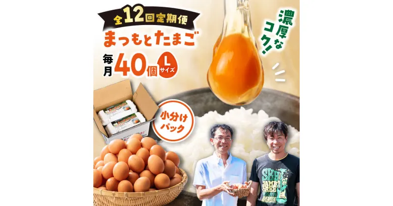 【ふるさと納税】【月1回 Lサイズ 40個 ×12回 定期便 】家族のために選びたい「 まつもとたまご 」計480個＜松本養鶏場＞[CCD004] 長崎 西海 卵 生卵 新鮮 卵かけごはん 安全 安心 美味しい こだわり 少数飼い 定期 赤玉 小分け