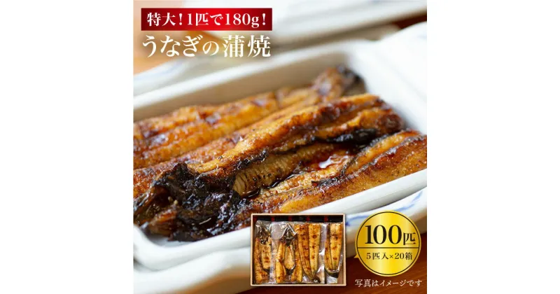 【ふるさと納税】【肉厚180g×100匹】秘伝のタレで仕上げた国産うなぎの蒲焼 計18kg＜入口屋＞[CCA016]