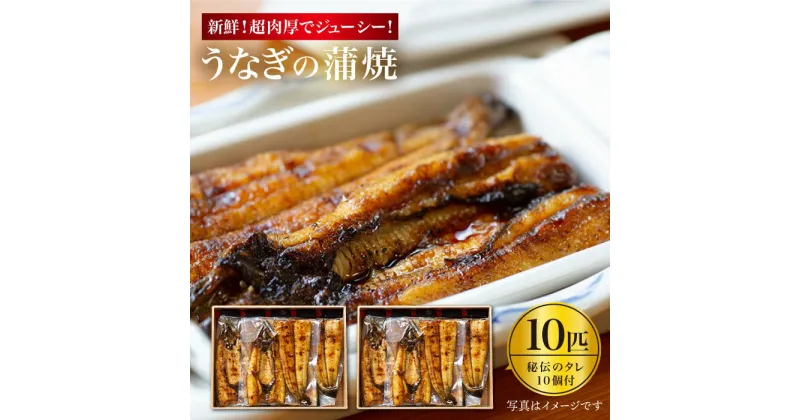 【ふるさと納税】【肉厚180g×10匹】秘伝のタレで仕上げた国産うなぎの蒲焼＜入口屋＞ [CCA007]