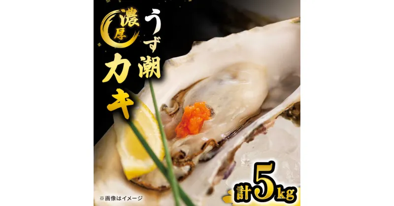 【ふるさと納税】【 着日指定可 冷蔵 】 うず潮 カキ 約5kg（約50～80個）＜西彼町漁協＞ [CBZ002] 長崎 西海 かき カキ 牡蠣 牡蠣小屋 BBQ バーベキュー 養殖 大村湾 名産 セット ナイフ付き 5kg 着日指定 日時指定 日付指定 冷蔵