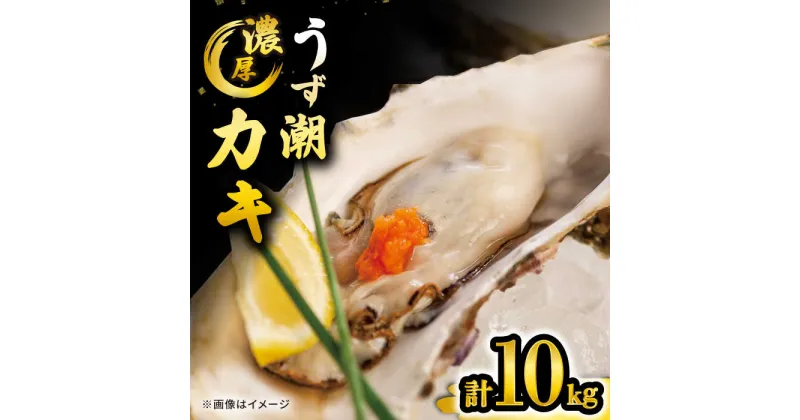 【ふるさと納税】【 着日指定可 冷蔵 】【西海市ランキング入り！】うず潮カキ 約10kg（約100～160個）＜西彼町漁協＞ [CBZ003] かき カキ 牡蠣 牡蠣小屋 BBQ バーベキュー レンジ 養殖 大村湾 名産 セット ナイフ付き 10kg 着日指定 日時指定 日付指定 冷蔵