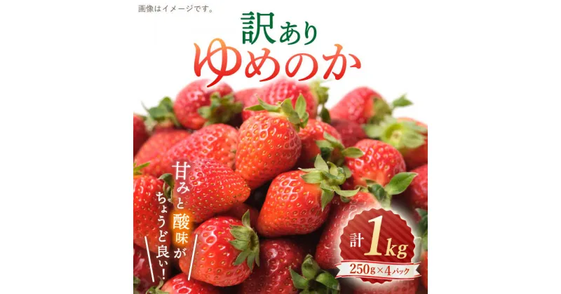 【ふるさと納税】【 訳あり 】 ゆめのか いちご 約1kg （250g×4パック）＜川原農園＞ [CDR001] 長崎 西海 いちご イチゴ 苺 果物 フルーツ 甘い ご家庭用 1kg