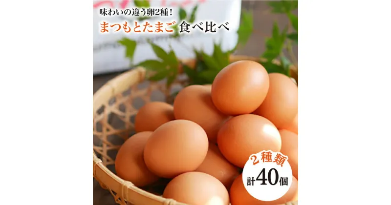 【ふるさと納税】ポケマルでも大人気「 まつもとたまご 」＆ 平飼い 「 しあわせたまご 」 各20個（計40個）＜松本養鶏場＞ [CCD020] 卵 生卵 新鮮 卵かけごはん 安全 安心 美味しい こだわり 少数飼い 定期 食べ比べ