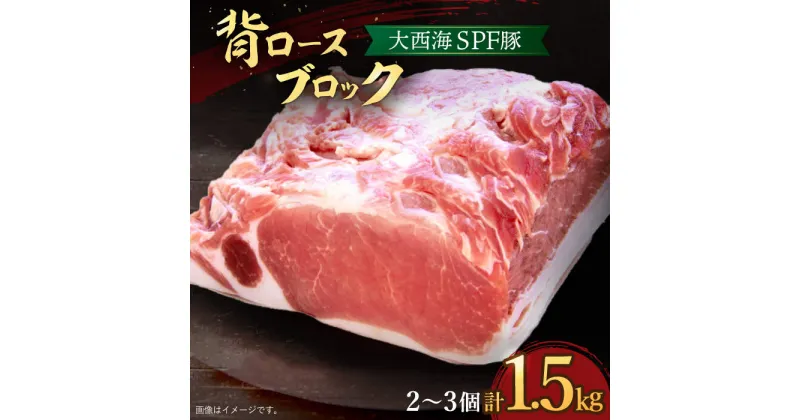 【ふるさと納税】【 訳あり 】【肉塊で肉会！】 大西海SPF 豚 背ロース ブロック 計1.5kg（2～3個）＜大西海ファーム＞ [CCY027] 長崎 西海 豚 肉 SPF豚 ブランド豚 ブロック肉 ブロック ロース 生姜焼き 角煮 とんかつ 贈答 ギフト 贈り物