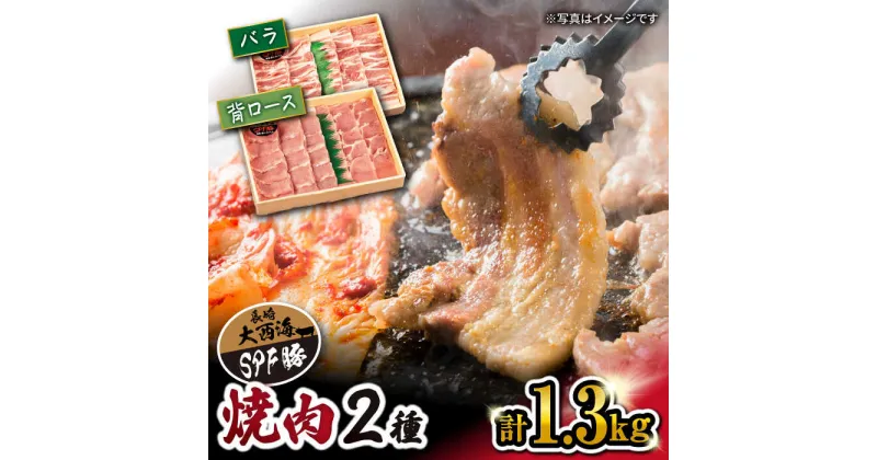 【ふるさと納税】【 訳あり 】【 食べ比べ 】大西海 SPF豚 背ロース ＆ バラ （ 焼肉 用）計1.3kg（各650g）＜大西海ファーム＞ [CCY007] 長崎 西海 肉 食品 肉類 国産 豚肉 こだわり セット 甘み 旨み ブランド豚 贈答 ギフト