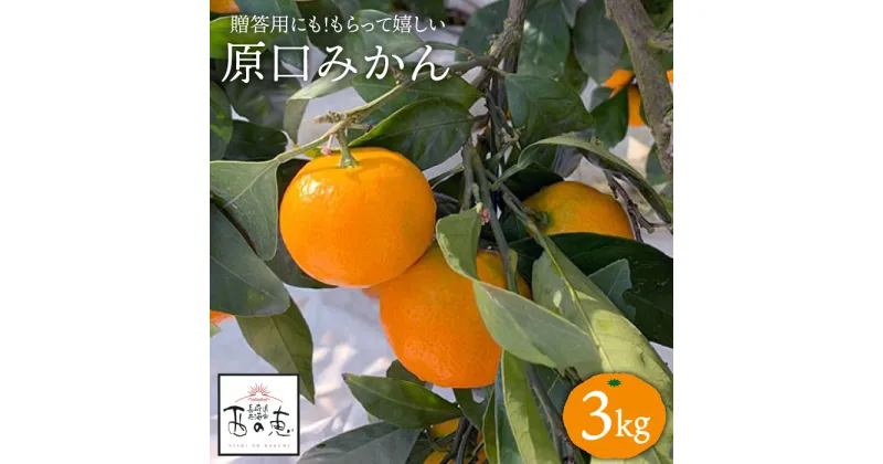 【ふるさと納税】【先行予約☆贈答にもオススメ】「西の恵」 原口みかん 約 3kg＜ファームまるだ＞ [CDT005] みかん ミカン 蜜柑 果物 柑橘 デザート 温州みかん おやつ お土産 プレゼント 贈答 ギフト フルーツ