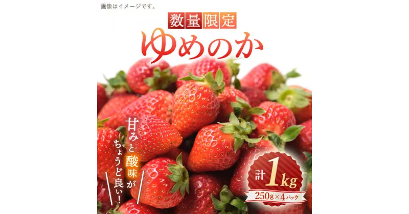 【ふるさと納税】【先行予約】【数量限定】 ゆめのか いちご 約1kg （250g×4パック）＜川原農園＞ [CDR009] いちご イチゴ 苺 果物 フルーツ 甘い ご家庭用 1kg