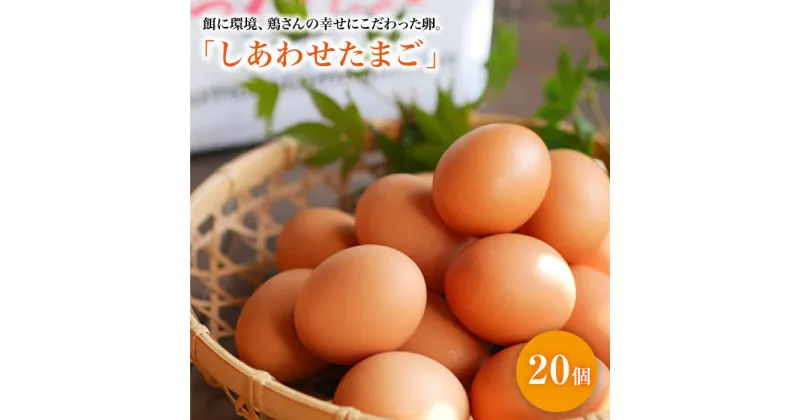 【ふるさと納税】【大切な人への贈り物に】平飼い「しあわせたまご」20個＜松本養鶏場＞ [CCD026] 卵 たまご 20個