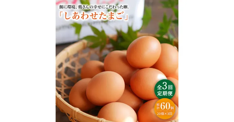 【ふるさと納税】【月1回20個×3回定期便】平飼い「しあわせたまご」計60個＜松本養鶏場＞ [CCD027]