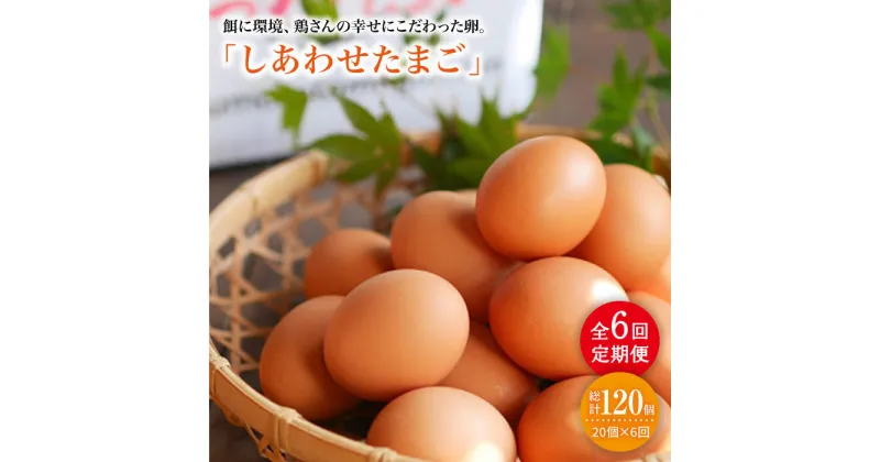 【ふるさと納税】【月1回20個×6回定期便】平飼い「しあわせたまご」計120個＜松本養鶏場＞ [CCD028]