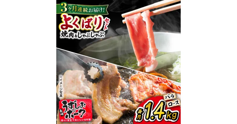 【ふるさと納税】【 訳あり 】【3回 定期便 】長崎うずしおポーク 焼肉 ＆ しゃぶしゃぶ セット 計1.4kg＜スーパーウエスト＞ [CAG095] 長崎 西海 豚 ブタ 豚肉 便利 焼肉 料理 やわらか ジューシー 上品 ブランド豚 しゃぶしゃぶ ロース バラ 豚スライス