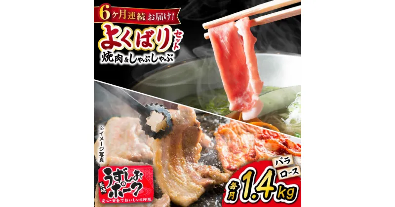 【ふるさと納税】【 訳あり 】【6回 定期便 】長崎うずしおポーク 焼肉 ＆ しゃぶしゃぶ セット 1.4kg＜スーパーウエスト＞ [CAG096] 長崎 西海 豚 ブタ 豚肉 便利 焼肉 料理 やわらか ジューシー 上品 ブランド豚 しゃぶしゃぶ ロース バラ 豚スライス