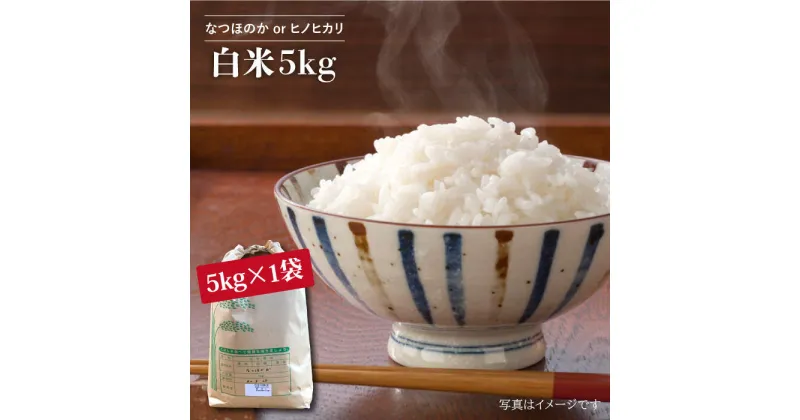 【ふるさと納税】【先行予約☆数量限定】令和6年産 新米 ！ 白米 （ なつほのか or ヒノヒカリ ） 5kg ＜夢農園 モリピー＞ [CEJ001] 米 白米 ひのひかり ヒノヒカリ なつほのか 5kg