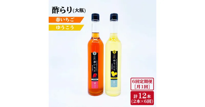 【ふるさと納税】【6回定期便】酢らり 大瓶（いちご・ゆうこう）総計12本＜川添酢造＞ [CDN036]