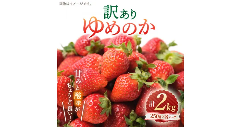 【ふるさと納税】【 訳あり 】 ゆめのか いちご 約2kg （250g×4パック×2箱）＜川原農園＞ [CDR005] 長崎 西海 いちご イチゴ 苺 果物 フルーツ 甘い ご家庭用 1kg 2kg