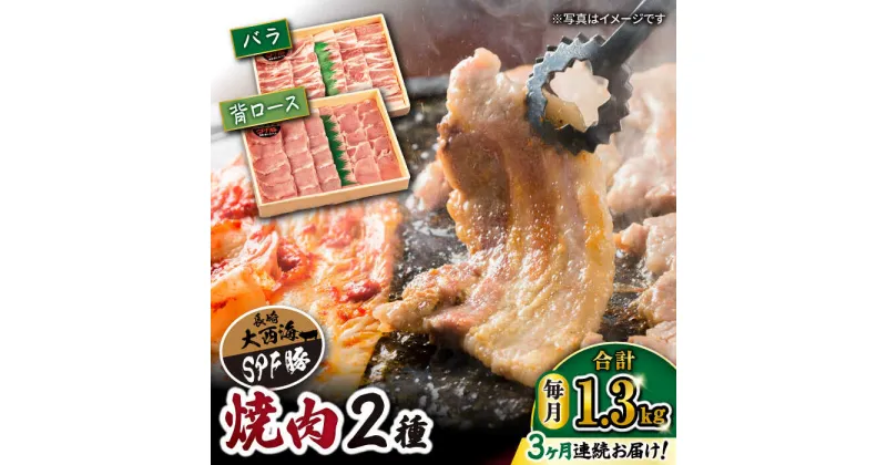 【ふるさと納税】【 訳あり 】【3回 定期便 】 大西海 SPF豚 背ロース ＆ バラ （ 焼肉 用）計1.3kg（各650g）＜大西海ファーム＞[CEK044] 長崎 西海 肉 食品 肉類 国産 豚肉 こだわり セット 甘み 旨み ブランド豚 贈答 ギフト