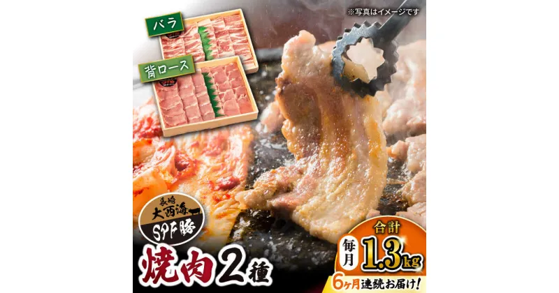 【ふるさと納税】【 訳あり 】【6回 定期便 】 大西海 SPF豚 背ロース ＆ バラ （ 焼肉 用）計1.3kg（各650g）＜大西海ファーム＞[CEK045] 長崎 西海 肉 食品 肉類 国産 豚肉 こだわり セット 甘み 旨み ブランド豚 贈答 ギフト