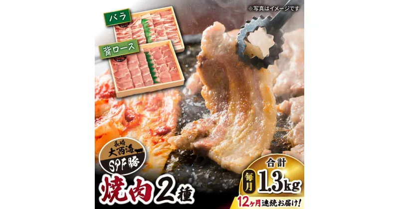 【ふるさと納税】【訳あり】【月1回約1.3kg×12回定期便】大西海SPF豚 背ロース＆バラ（焼肉用）計15.6kg＜大西海ファーム＞ [CEK102]