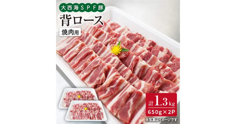 【ふるさと納税】【訳あり】【焼肉革命】大西海SPF豚 背ロース（焼肉用）計1.3kg（650g×2パック）＜大西海ファーム＞ [CEK038]