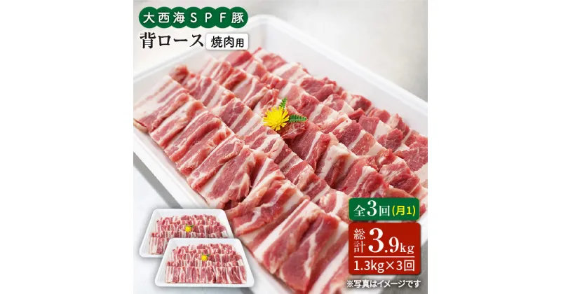 【ふるさと納税】【訳あり】【月1回1.3kg×3回定期便】大西海SPF豚 背ロース（焼肉用）計3.9kg＜大西海ファーム＞ [CEK096]