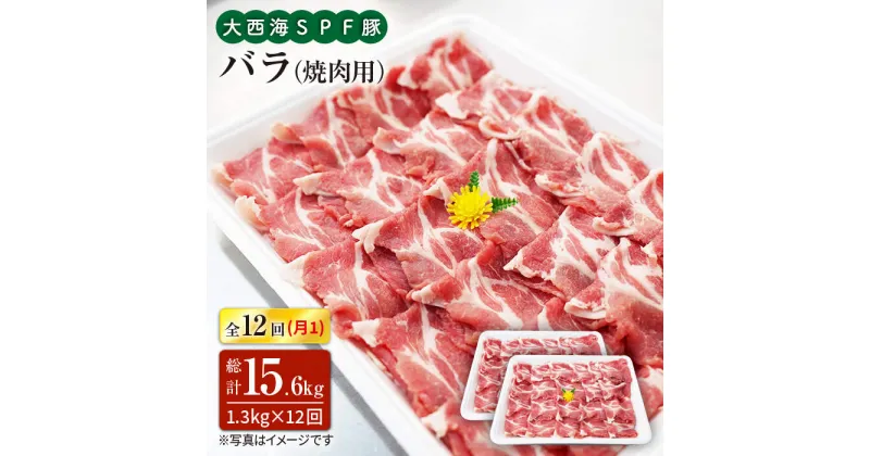 【ふるさと納税】【訳あり】【月1回約1.3kg×12回定期便】大西海SPF豚 バラ（焼肉用）計15.6kg＜大西海ファーム [CEK121]