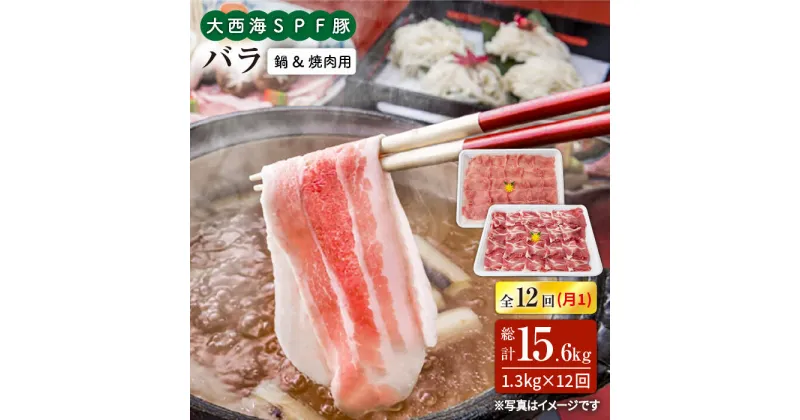 【ふるさと納税】【訳あり】【月1回約1.3kg×12回定期便】大西海SPF豚 バラ（焼肉＆しゃぶしゃぶ用）計15.6kg＜大西海ファーム＞ [CEK123]