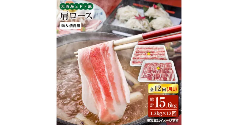 【ふるさと納税】【訳あり】【月1回約1.3kg×12回定期便】大西海SPF豚 肩ロース（焼肉＆しゃぶしゃぶ用）計15.6kg＜大西海ファーム＞ [CEK124]