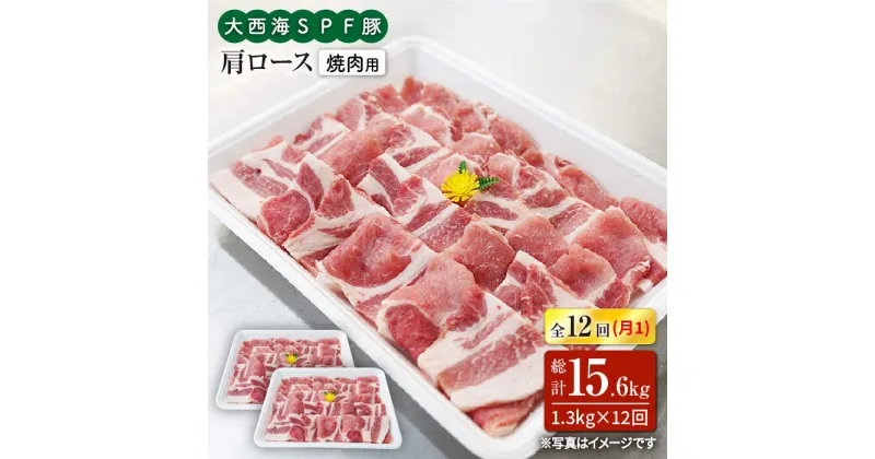 【ふるさと納税】【訳あり】【月1回約1.3kg×12回定期便】大西海SPF豚 肩ロース（焼肉用）計15.6kg＜大西海ファーム＞ [CEK125]