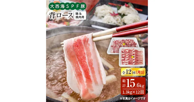 【ふるさと納税】【訳あり】【月1回約1.3kg×12回定期便】大西海SPF豚 背ロース（焼肉＆しゃぶしゃぶ用）計15.6kg＜大西海ファーム＞ [CEK129]