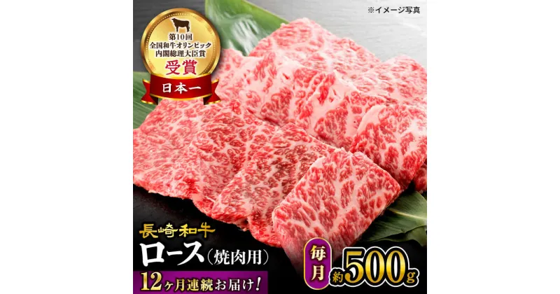 【ふるさと納税】【 訳あり 】【12回 定期便 】 長崎和牛 ロース 焼肉用 約500g×12回定期便＜大西海ファーム＞ [CEK146] 長崎 和牛肉 食品 肉類 国産 ブランド牛 牛肉 ロース こだわり 焼肉 BBQ 定期便