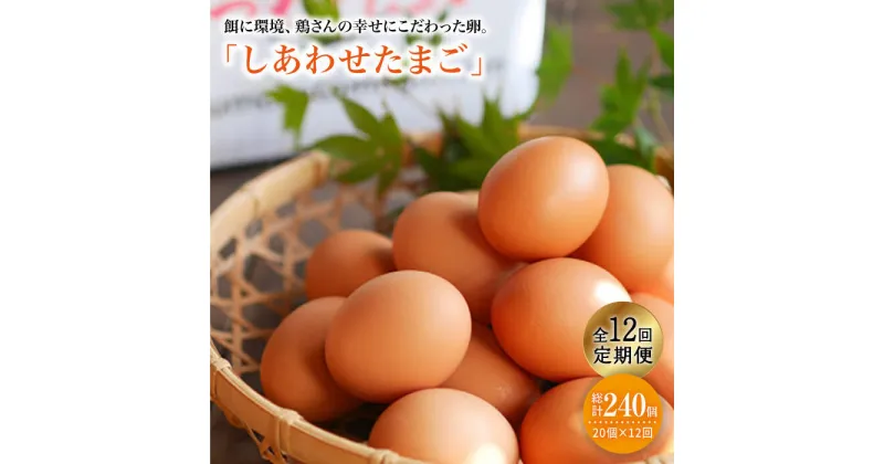 【ふるさと納税】【月1回20個×12回定期便】平飼い「しあわせたまご」計240個＜松本養鶏場＞ [CCD031]