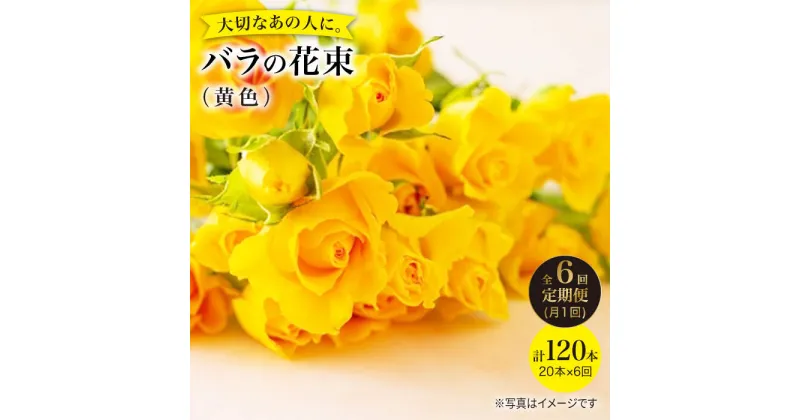 【ふるさと納税】【6回定期便】【記念日には バラ を送ろう】 バラ の 花束 （ 黄 ）＜花工房るふらん＞ [CCR033] 長崎 西海 花 花束 お祝い ギフト プレゼント 記念日 誕生日