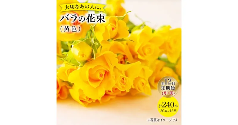 【ふるさと納税】【12回定期便】【記念日には バラ を送ろう】 バラ の 花束 （ 黄 ）＜花工房るふらん＞ [CCR034] 長崎 西海 花 花束 お祝い ギフト プレゼント 記念日 誕生日