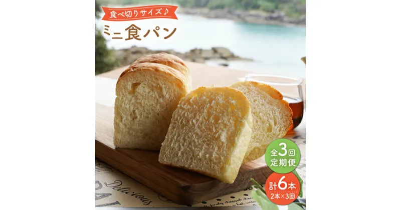 【ふるさと納税】【3回定期便】食べきりサイズ♪ミニ食パン2本＜岡崎製パン所＞ [CEP038]