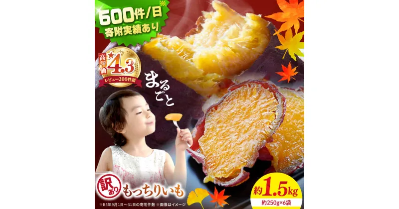 【ふるさと納税】【 訳あり 】【栄養たっぷり♪】 まるごと もっちりいも （皮付き）約1.5kg ＜大地のいのち＞ [CDA018] 無添加 干し芋 ほしいも サツマイモ さつまいも 紅はるか スイーツ おやつ 国産 お土産 お取り寄せ 小分け