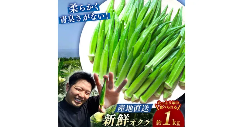 【ふるさと納税】【☆先行予約☆】【朝採れ旬野菜】 オクラ 約 1kg ＜パッパラパー農園＞ [CFI001] おくら 野菜 夏野菜 新鮮