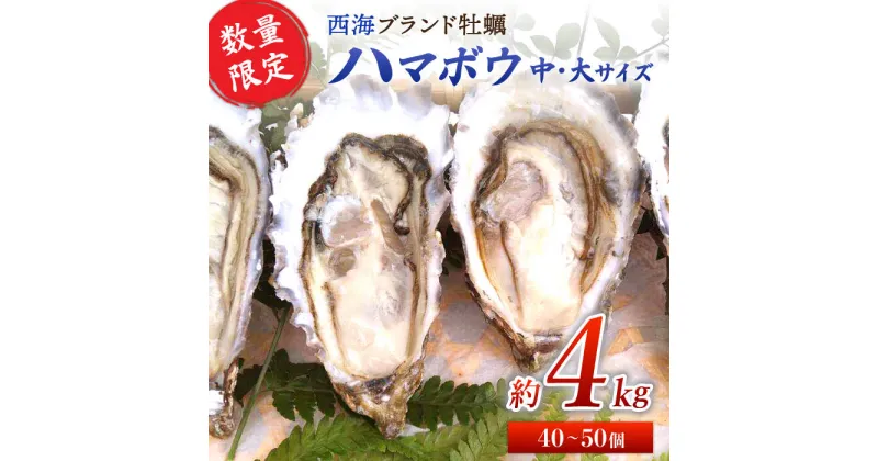 【ふるさと納税】【着日指定可】西海 ブランド 牡蠣 「 ハマボウ 」 約4kg（40～50個）（中～大サイズ）＜ハマフジ水産＞ [CES006] カキ かき 貝 ブランド 贈答 プレゼント ギフト 4kg BBQ 鍋 ナイフ付き 着日指定