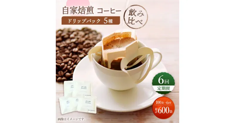 【ふるさと納税】【飲み比べ】【6回定期便】ドリップバック 自家焙煎コーヒー 100袋（5種類×20袋） ＜giko coffee＞ [CFK039]