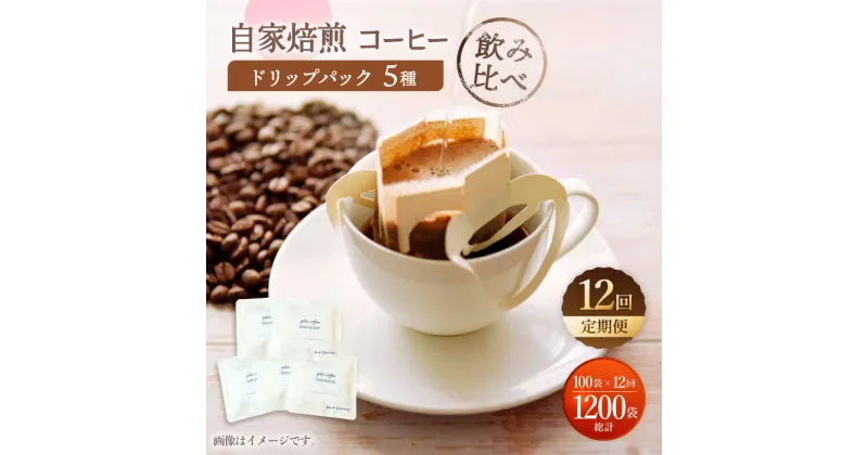 【ふるさと納税】【飲み比べ】【12回定期便】ドリップバック 自家焙煎コーヒー 100袋（5種類×20袋） ＜giko coffee＞ [CFK040]