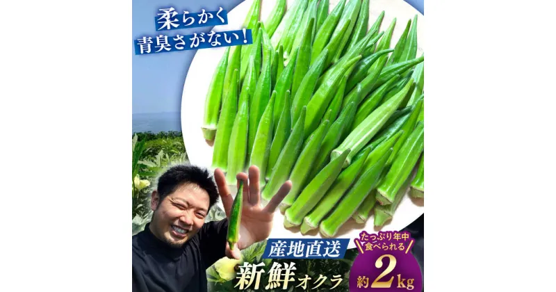 【ふるさと納税】【☆先行予約☆】【朝採れ旬野菜】 オクラ 約 2kg ＜パッパラパー農園＞ [CFI004] おくら 夏野菜 野菜 新鮮 オクラ