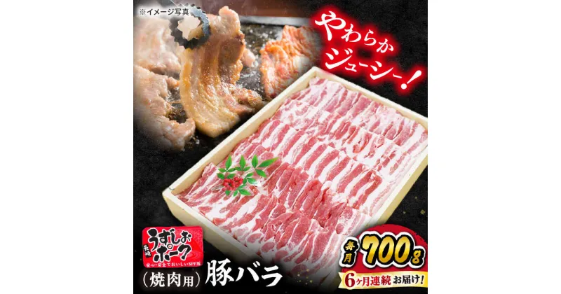 【ふるさと納税】【 訳あり 】【6回 定期便 】 長崎うずしおポーク バラ （ 焼肉 用） 700g ＜スーパーウエスト＞[CAG021] 長崎 西海 豚 ブタ 豚肉 バラ 便利 料理 やわらか ジューシー 上品 ブランド豚 焼き肉 焼肉 BBQ