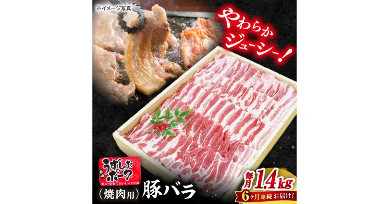 【ふるさと納税】【 訳あり 】【6回 定期便 】 長崎 うずしおポーク バラ （ 焼肉 用）1.4kg＜スーパーウエスト＞ [CAG114] 長崎 西海 豚 ブタ 豚肉 バラ 便利 料理 やわらか ジューシー 上品 ブランド豚 焼き肉 焼肉 BBQ