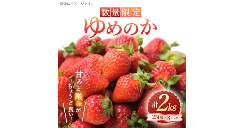 【ふるさと納税】【先行予約】【数量限定】 ゆめのか いちご 約2kg （250g×8パック）＜川原農園＞ [CDR010] いちご イチゴ 苺 果物 フルーツ 甘い ご家庭用 1kg 2kg