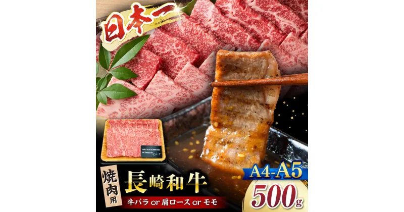 【ふるさと納税】【A4～A5】長崎和牛焼肉用　500g＜株式会社MEAT PLUS＞[CFT001]