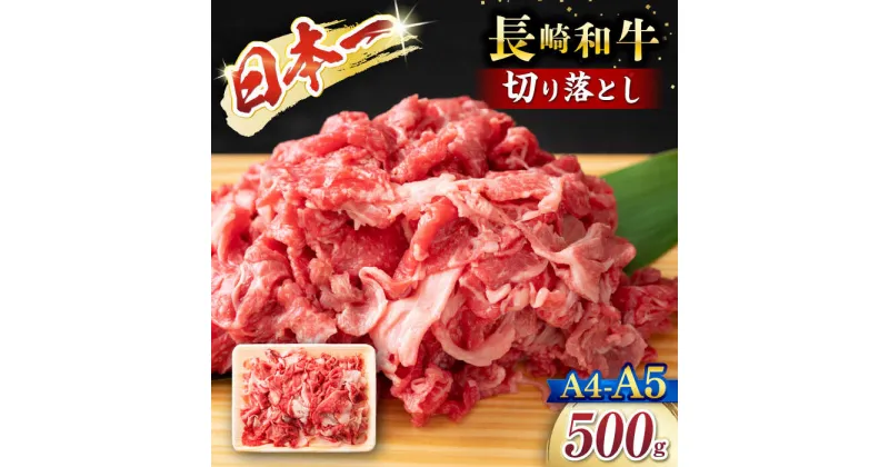 【ふるさと納税】【A4～A5】長崎和牛切り落とし　500g＜株式会社MEAT PLUS＞[CFT003]