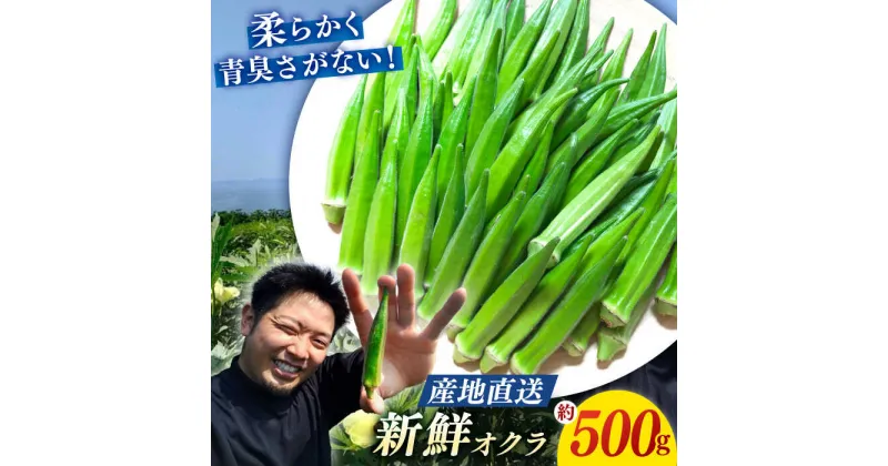 【ふるさと納税】【☆先行予約☆】【朝採れ旬野菜】オクラ 約500g ＜パッパラパー農園＞[CFI007]