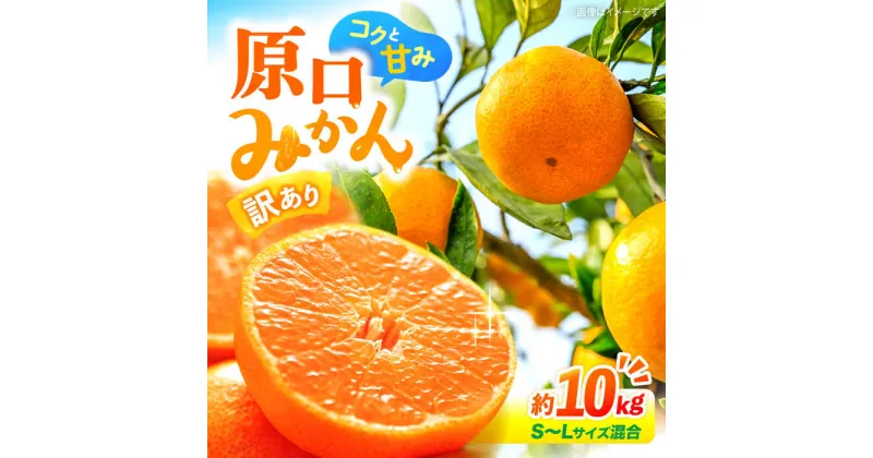 【ふるさと納税】【先行予約】【訳あり】 原口みかん 約10kg （S〜Lサイズ混合）＜横坂農園＞[CFW004] 長崎 西海 みかん ミカン 蜜柑 柑橘 甘い 5kg 10kg 訳あり