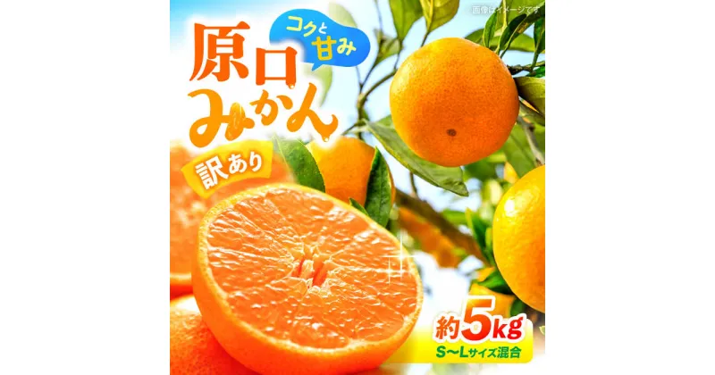 【ふるさと納税】【先行予約】【訳あり】 原口みかん （S〜Lサイズ混合） 約5kg ＜横坂農園＞[CFW002] 長崎 西海 みかん ミカン 蜜柑 柑橘 甘い 5kg 訳あり