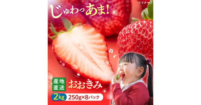 【ふるさと納税】【大玉色鮮やか！】西海市産いちご「おおきみ」2kg（250g×8パック）＜武藤農園＞[CFV005]